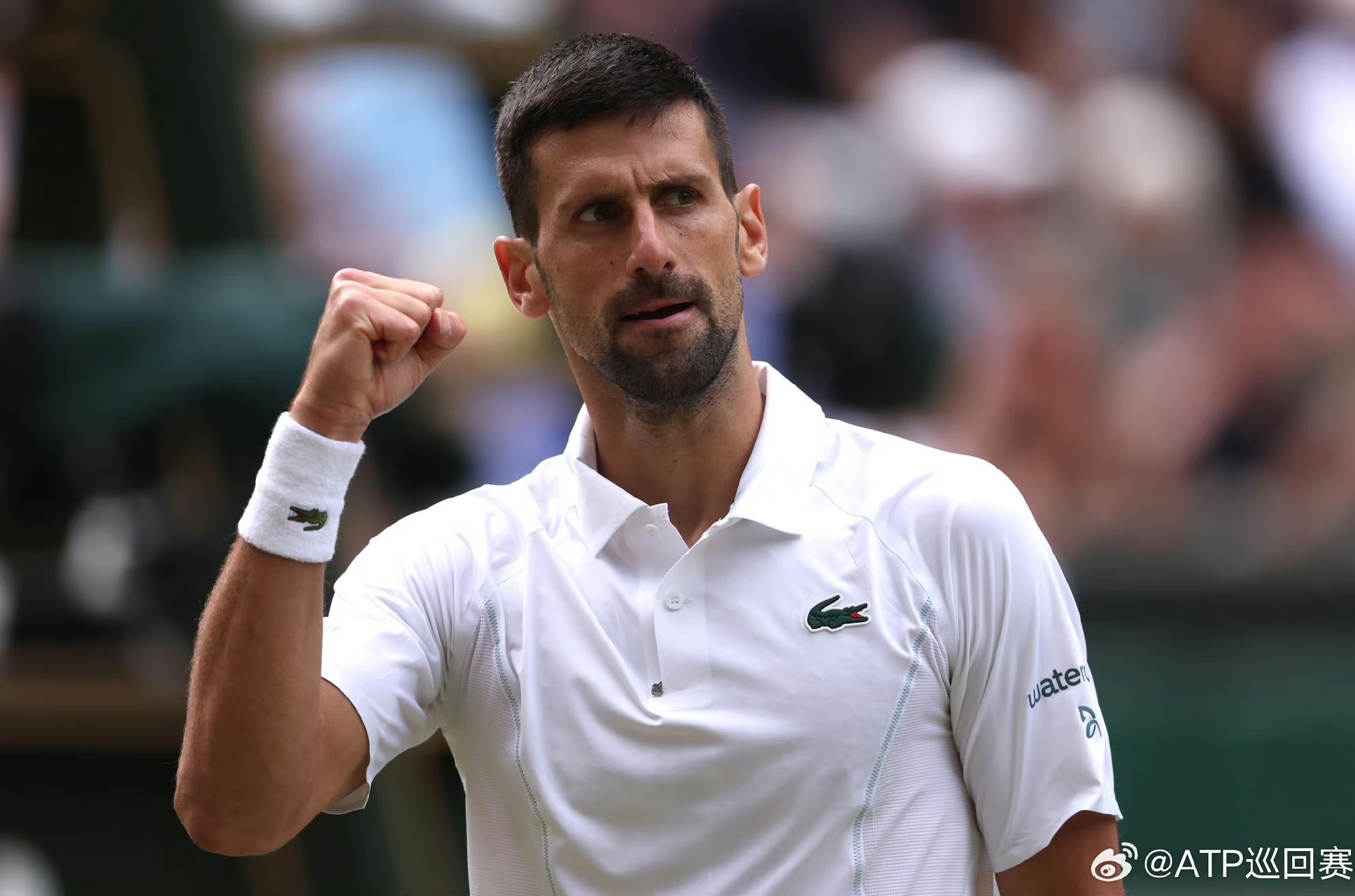 德约科维奇新星关键助攻表现惊艳，塞尔维亚队未来可期！的简单介绍